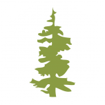 Oreq