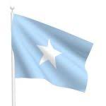 Somali